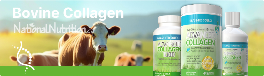 Bovine Collagen Supplements Bovine Collagen Supplements