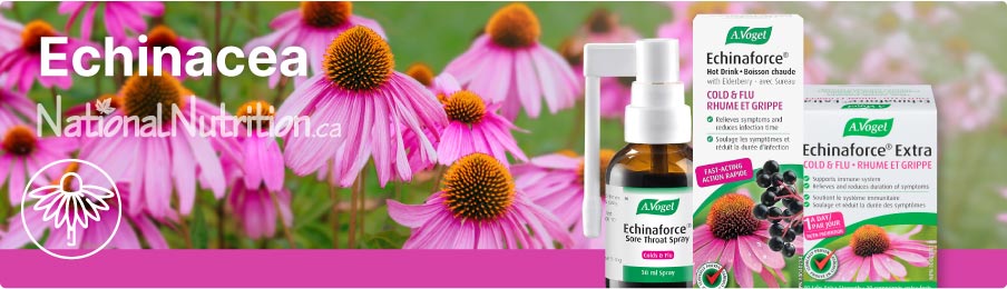 Echinacea Echinacea