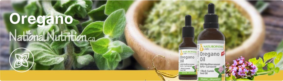 Oregano Oil Supplements Oregano Oil Supplements