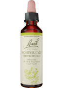 Bach Flower Honeysuckle - 20ml