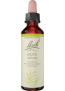 Bach Flower Olive - 20ml