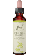 Bach Flower Wild Rose - 20ml