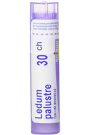 Boiron Ledum Palustre 30C - 80 Pellets