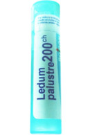 Boiron Ledum Palustre 200C - 80 Pellets