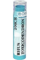 Boiron Rhus Toxicodendron 200C - 80 Pellets