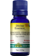 Divine Essence Cedar Leaf Oil (White, Organic) - 15ml