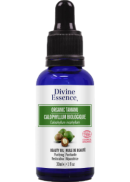 Divine Essence Tamanu Oil (Organic) - 30ml