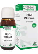 Gemmo Professional Pinus Montana (Gemmo) - 60ml