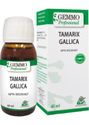 Gemmo Professional Tamarix Gallica (Gemmo) - 60ml