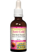 Natural Factors Echinamide Anti-Cold Fresh Herb Tincture Standardized - 50ml