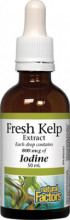 Natural Factors Fresh Kelp 800mcg - 50ml