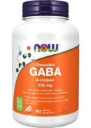 Now GABA 250mg Chewable (Orange) - 90 Tabs
