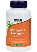 Now Astragalus Root 500mg - 100 Caps
