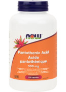 Now Pantothenic Acid 500mg (B-Complex) - 250 Caps