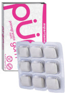 Pur Gum Pomegranate Mint Gum - 9 Pieces