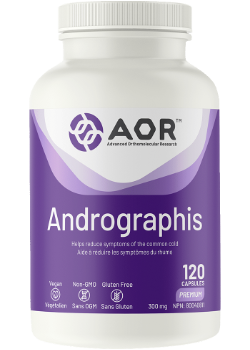 Andrographis - 120 Caps