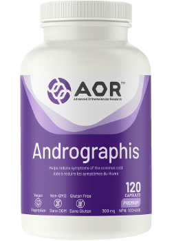 Andrographis - 120 Caps