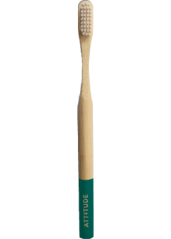 Adult Bamboo Toothbrush (Green Handle) - 1 Brush