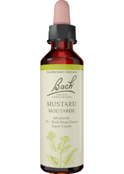 Mustard - 20ml