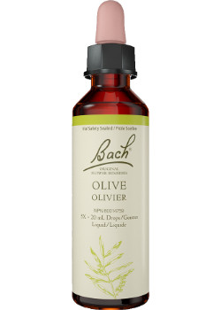 Olive - 20ml