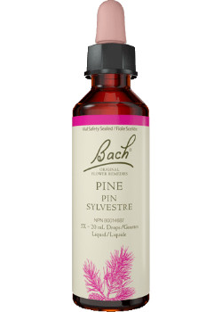 Pine - 20ml