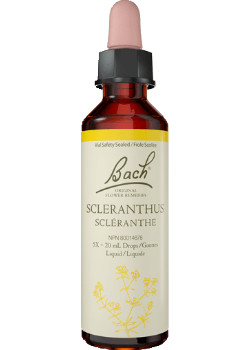 Scleranthus - 20ml