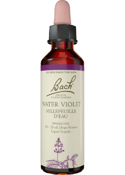 Water Violet - 20ml