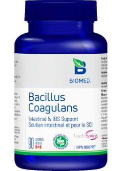 Bacillus Coagulans - 90 Caps