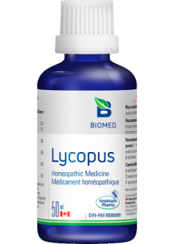 Lycopus - 50ml