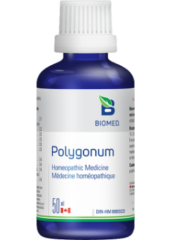 Polygonum - 50ml
