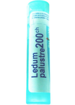 Ledum Palustre 200C - 80 Pellets