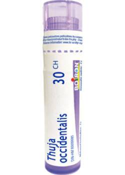 Buy Boiron THUJA OCCIDENTALIS - 30 CH at NationalNutrition.ca
