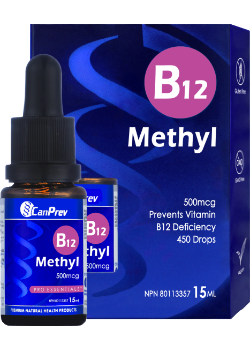 B12 Methyl 500mcg - 15ml