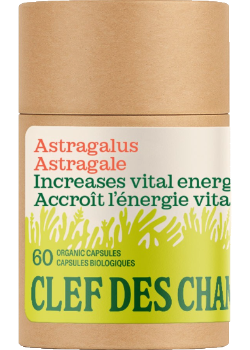 Astragalus 280mg (Organic) - 60 Caps