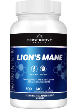 Lions Mane 500mg Extract - 240 V-Caps