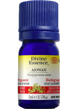 Ajowan Oil (Organic) - 5ml