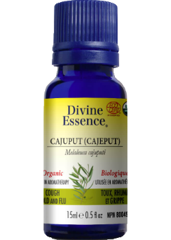 Cajuput Oil (Cajeput, Organic) - 15ml