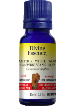 Camphor Wood Oil (White, Wild) - 15ml