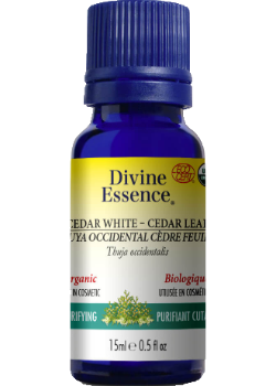 Cedar Leaf Oil (White, Organic) - 15ml
