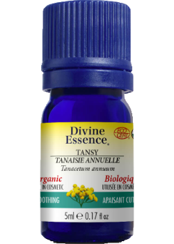 Chamomile Oil (Blue Tansy, Organic) - 5ml