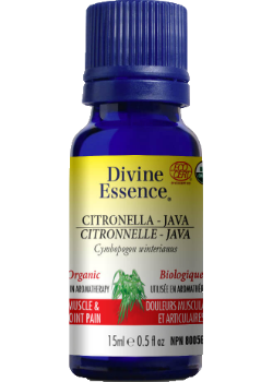 Citronella Oil (Java, Organic) - 15ml