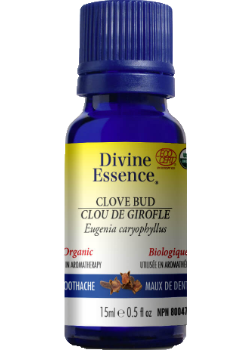 Clove Bud Oil (Organic) - 15ml