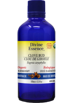 Clove Bud Oil (Organic) -100ml