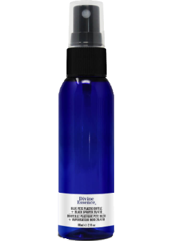 DIY Empty Spray Bottle (Blue Plastic) - 60ml