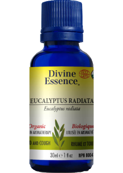 Eucalyptus Oil (Radiata, Organic) - 30ml