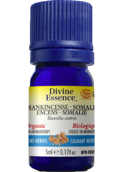 Frankincense Somalia Oil (Boswellia Carterii, Organic) - 5ml