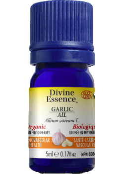 Garlic Oil (Organic) - 5ml