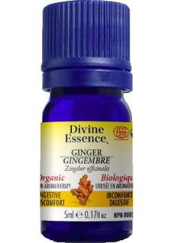 Ginger Oil (Organic) - 5ml