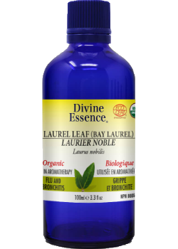 Laurel Leaf Oil (Bay Laurel, Organic) - 100ml