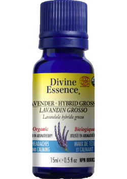 Lavender Oil (Hybrid Grosso, Organic) - 15ml